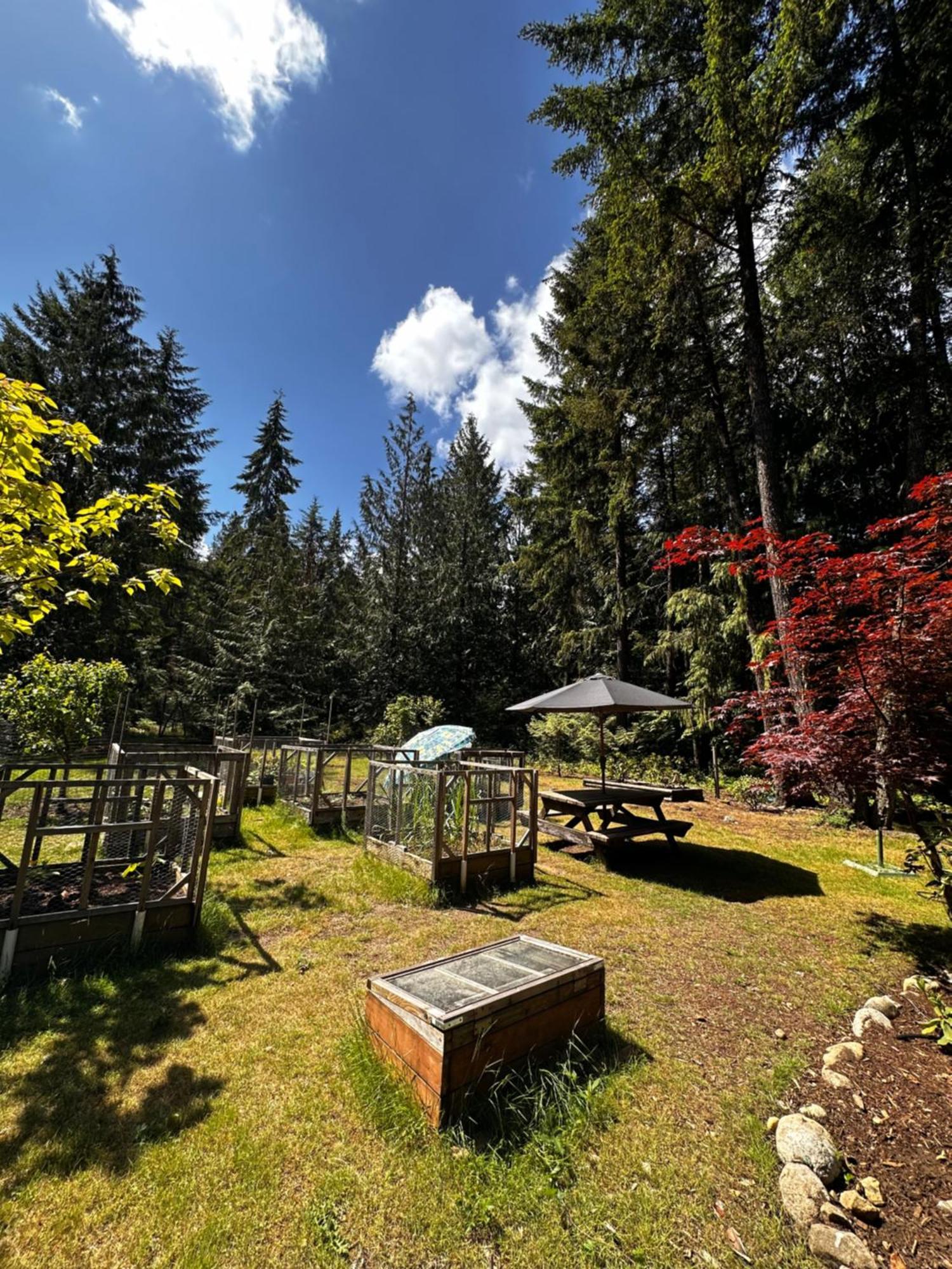 Cedar Song B&B Parksville Exteriér fotografie