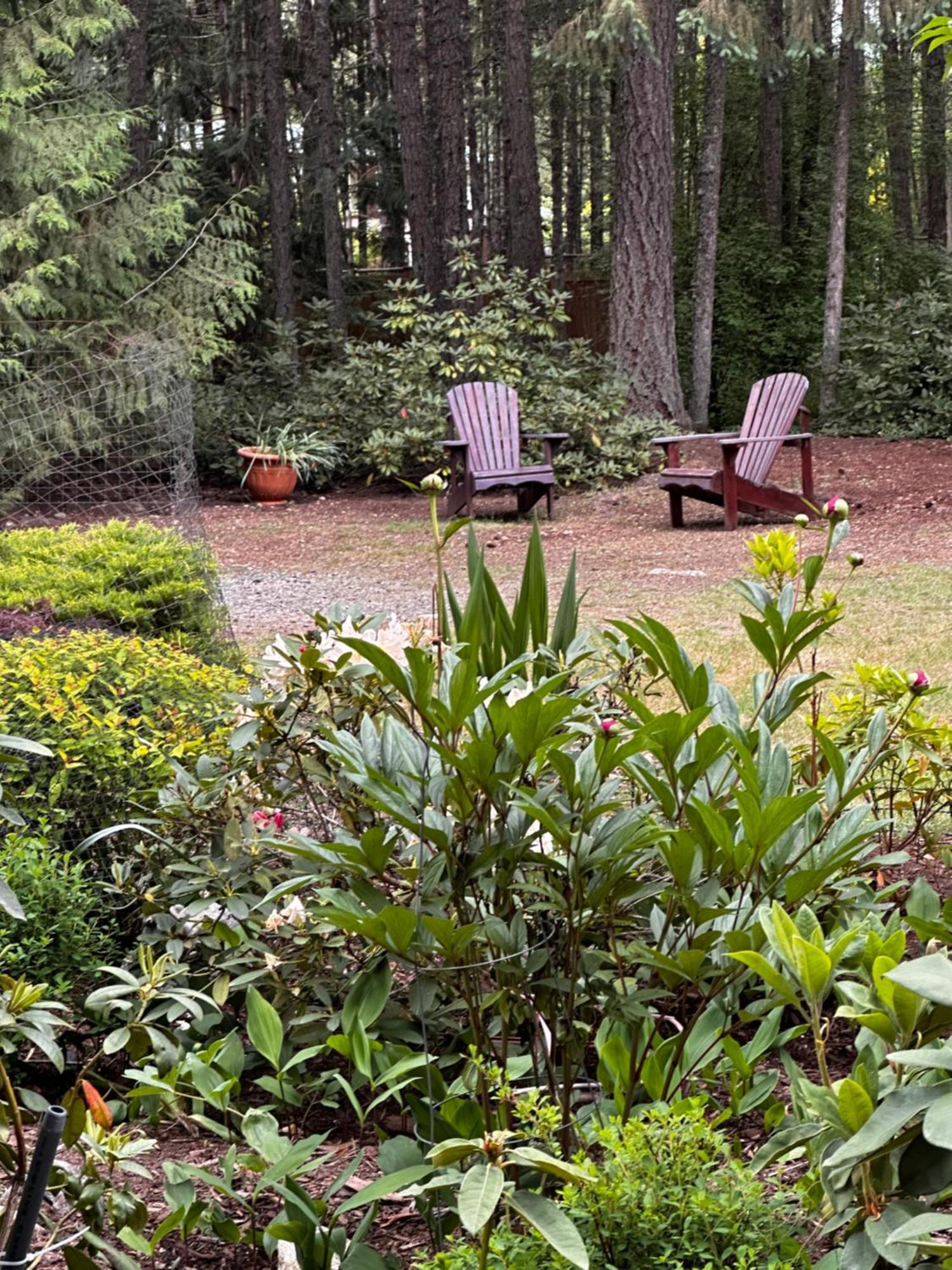Cedar Song B&B Parksville Exteriér fotografie
